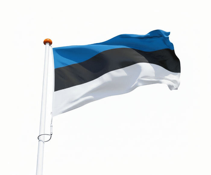 Flagge Estland