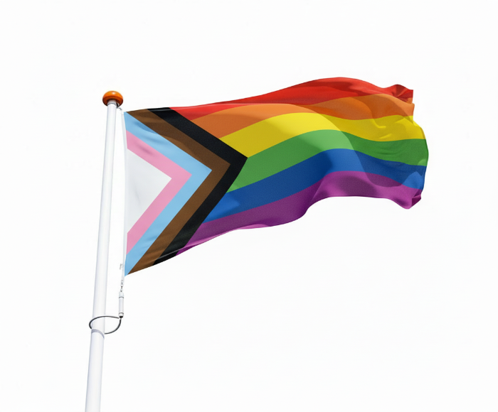 Progress Pride Flagge
